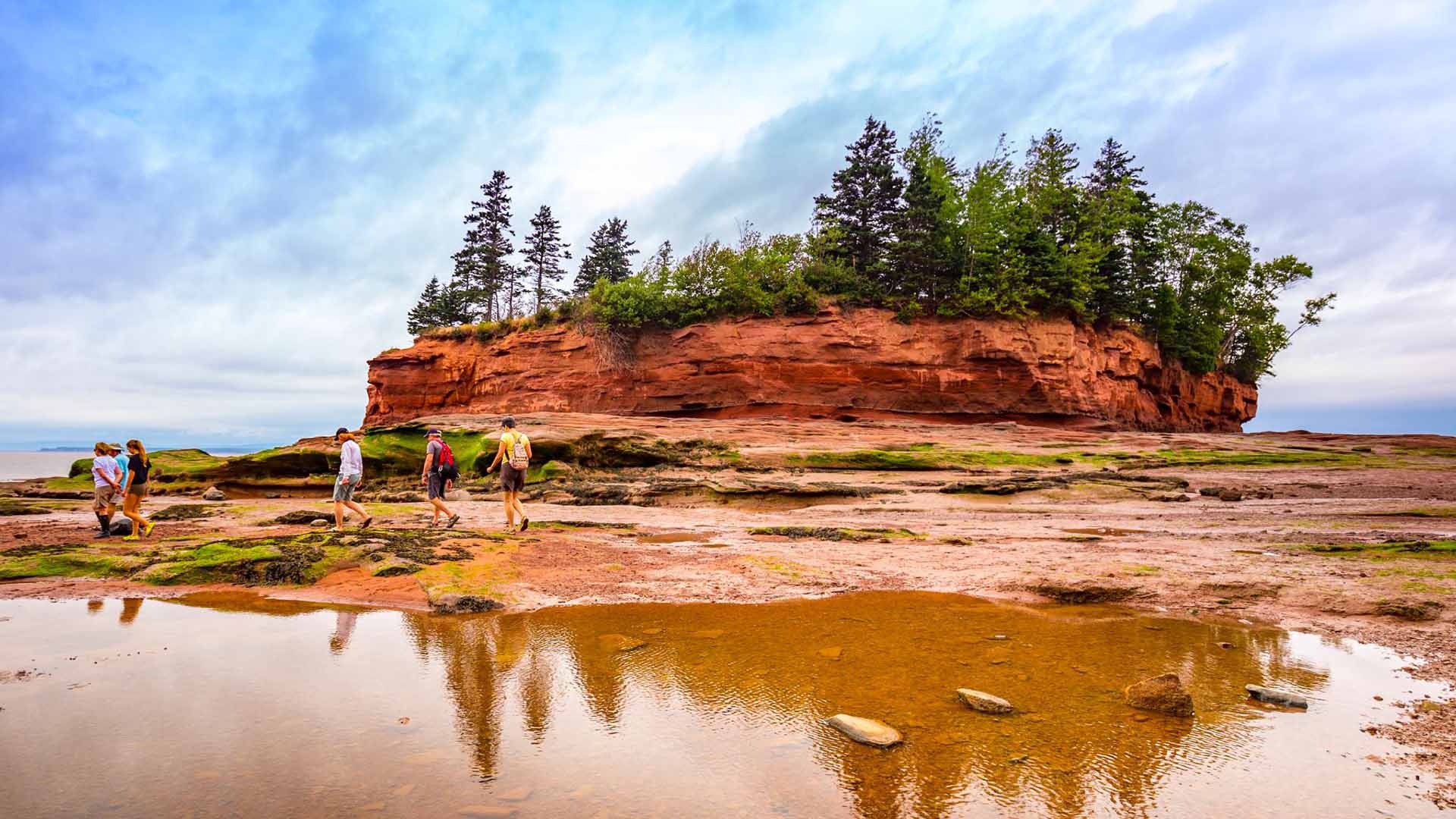 Bay of Fundy | New Brunswick tourism | Tourist attractions in New Brunswick