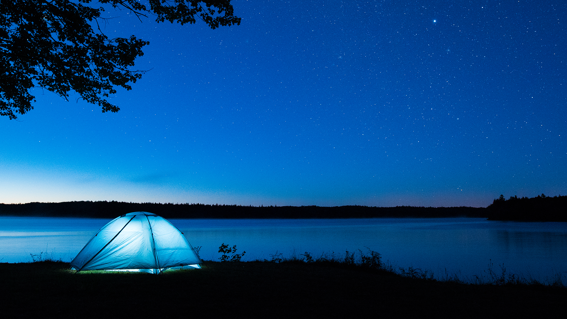 Carpa iluminada bajo el oscuro cielo estrellado en Ellenwood Lake Provincial Park