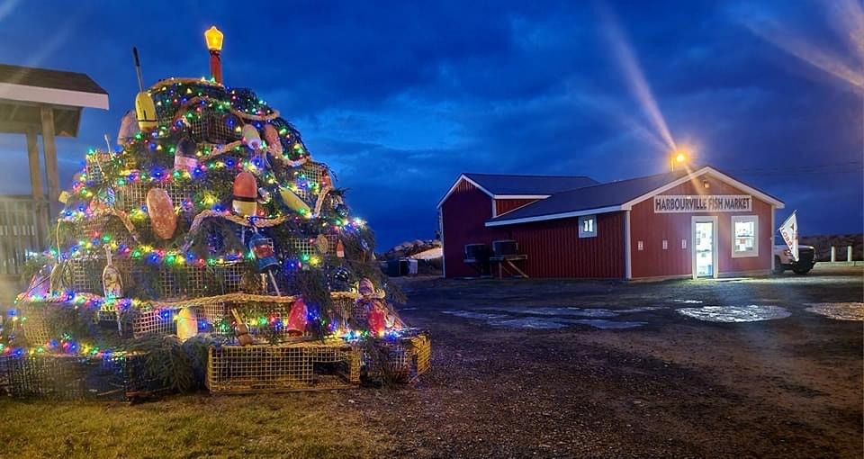 Nova Scotia's Unique Christmas Tree Traditions